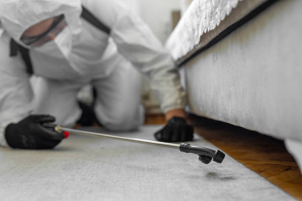 Professional Bed Bug Control technician working in Delaware, OH