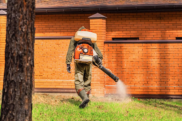 Trusted Bed Bug Control service in Delaware, OH - Nex Pest Control